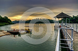 MacRitchie Reservoir Singapore