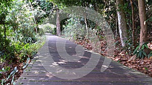 MacRitchie Reservoir