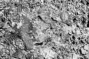 Macro abstract of dried mud and rock in Alberta`s Dinosaur Provincial Park