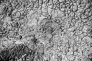 Macro abstract of dried mud and rock in Alberta`s Dinosaur Provincial Park