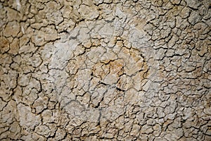 Macro abstract of dried mud and rock in Alberta`s Dinosaur Provincial Park