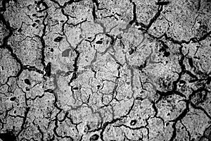 Macro abstract of dried mud and rock in Alberta`s Dinosaur Provincial Park