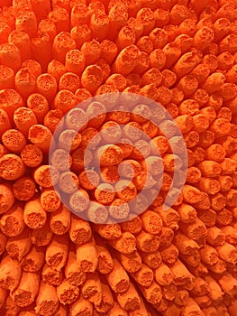 Macro abstract orange background