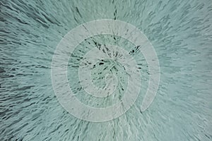 Macro Abstract of Plastic Cleaning Brush