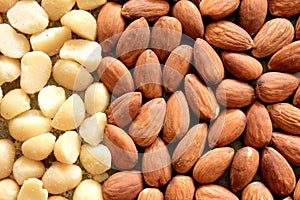 Macro Almonds and Macadamia Nuts 2