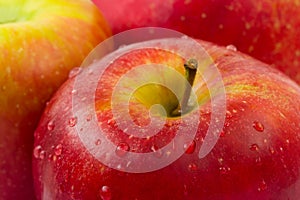 Macro of apple