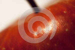 Macro on an apple