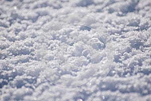 Macro background of fresh snowflake texture