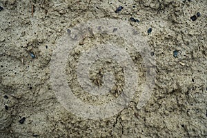 Macro background image of dried clay