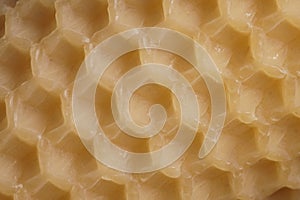 Macro background with an old sheet of natural beeswax sheet of comb foundation with a hexagonal pattern Cera Alba photo