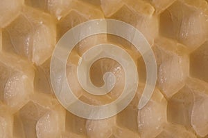 Macro background with an old sheet of natural beeswax sheet of comb foundation with a hexagonal pattern Cera Alba photo