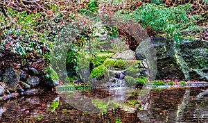 Macro background of small park laguna with a pond and stones