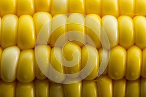 Macro background texture of fresh corn kernels