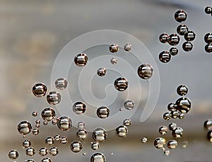 Macro balls in carbonate macro