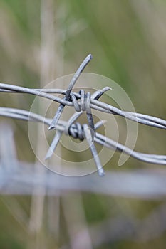 Macro of barbed wire