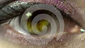 Macro of beauty female eye with nice make up. woman with beautiful make up looking at the camera close up in studio