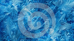 Macro blue feathers pattern