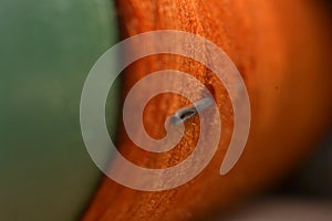 sewing needle on orange bobbin thread.