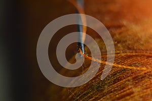 sewing needle on orange bobbin thread