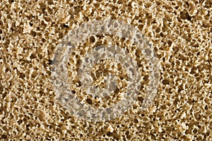 Macro bread texture
