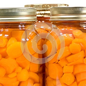 Macro Canned Carrots