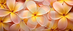 Macro capture of a Plumeria flower. AI Generative