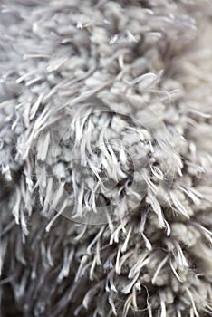 Macro carpet fur
