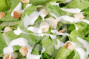 Macro cesar salad photo