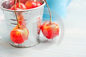 Macro of cherries on grey wooden background in tin can