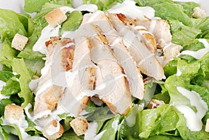 Macro of chicken cesar salad photo