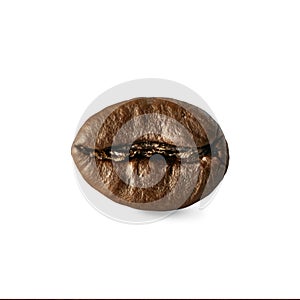 Macro close-up coffee bean isolated on white background