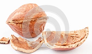 Macro close-up of cracked brown hazelnut