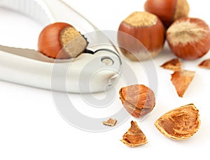 Macro close-up of cracked brown hazelnut on white background.