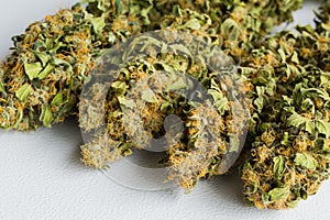 Macro close up of a dried Cannabis Medical Marijuana plant with