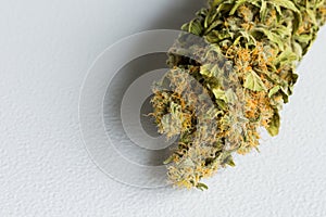 Macro close up of a dried Cannabis Medical Marijuana plant with