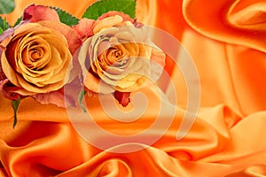 Macro close up of fresh orange and red roses on  abstract background