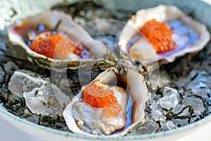 Macro close up of fresh oysters with orange caviar