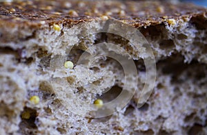 Macro close up german baked seeded grain bread roll with crispy brown crust