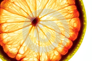 Macro Close-up of grapefruit