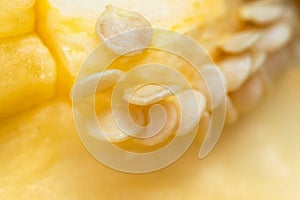Macro close-up of the inner walls and seeds of yellow paprika photo
