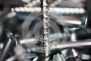 Macro close up of isolated pile metal crosshead screws in tool box focus on center of bold thread