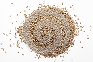 Macro close-up of Organic Ajwain seed Trachyspermum ammi or thymol seeds on white background. Pile of Indian Aromatic Spice.