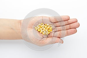 Macro Close-up of Organic Bengal Gram Cicer arietinum or split yellow chana dal on the palm of a Female hand.