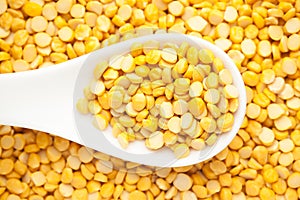 Macro Close-up of Organic Bengal Gram Cicer arietinum or split yellow chana dal on a white ceramic soup spoon.