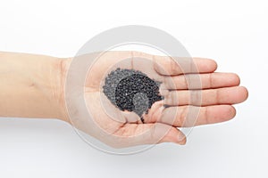 Macro Close up of Organic Black Sesame seedsSesamum indicum or Black Til with the shell on the palm of a Female hand. photo
