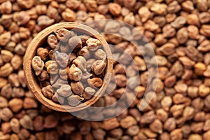 Macro Close up of Organic chana or chickpea Cicer arietinum or whole white Bengal gram  in an earthen clay pot kulhar