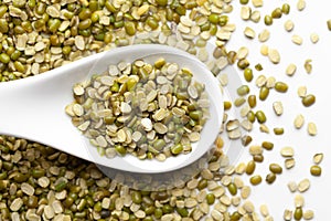 Macro Close-up of Organic green Gram Vigna radiata or spilt green moong dal unpolished on a white ceramic soup spoon. Top view,