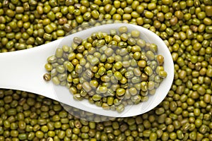 Macro Close-up of Organic green Gram Vigna radiata or whole green moong dal on a white ceramic soup spoon.