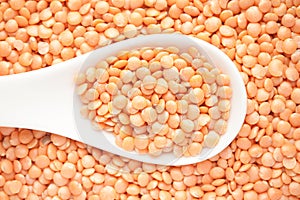 Macro Close-up of Organic masoor dal Lens culinaris or whole pink dal on a white ceramic soup spoon.