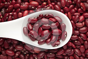 Macro Close-up of Organic Rajma,  Laal Lobia  or red kidney beans dal on a white ceramic soup spoon.